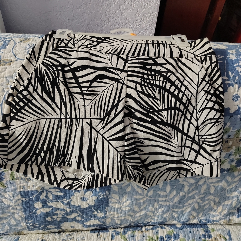 New York & Company High Waist Black and White Shorts
